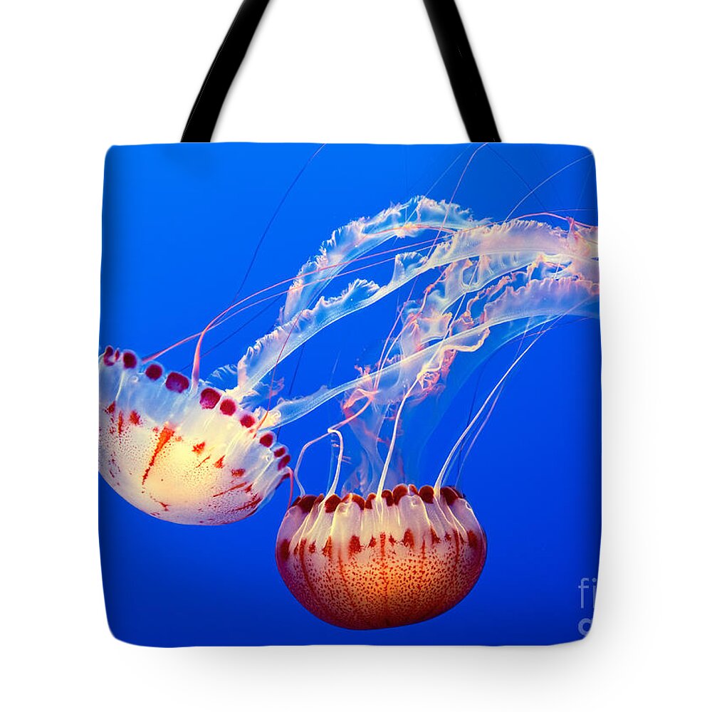 Jelly Fish Tote Bags