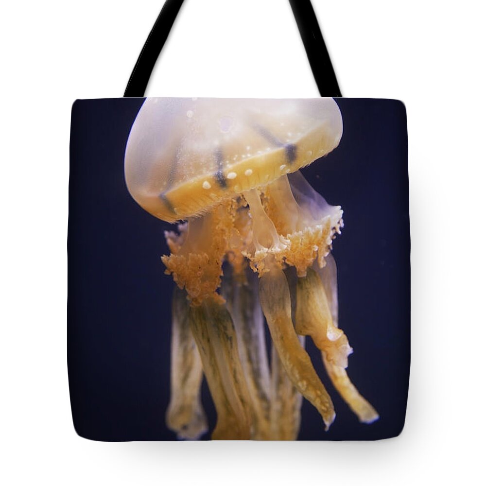 Underwater Tote Bag featuring the photograph Jellyfish by Brandon Tabiolo / Design Pics