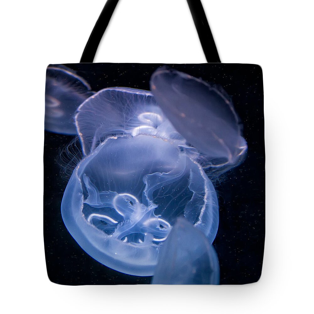 Fish Tote Bag featuring the photograph Jellyfish by Tim Stanley