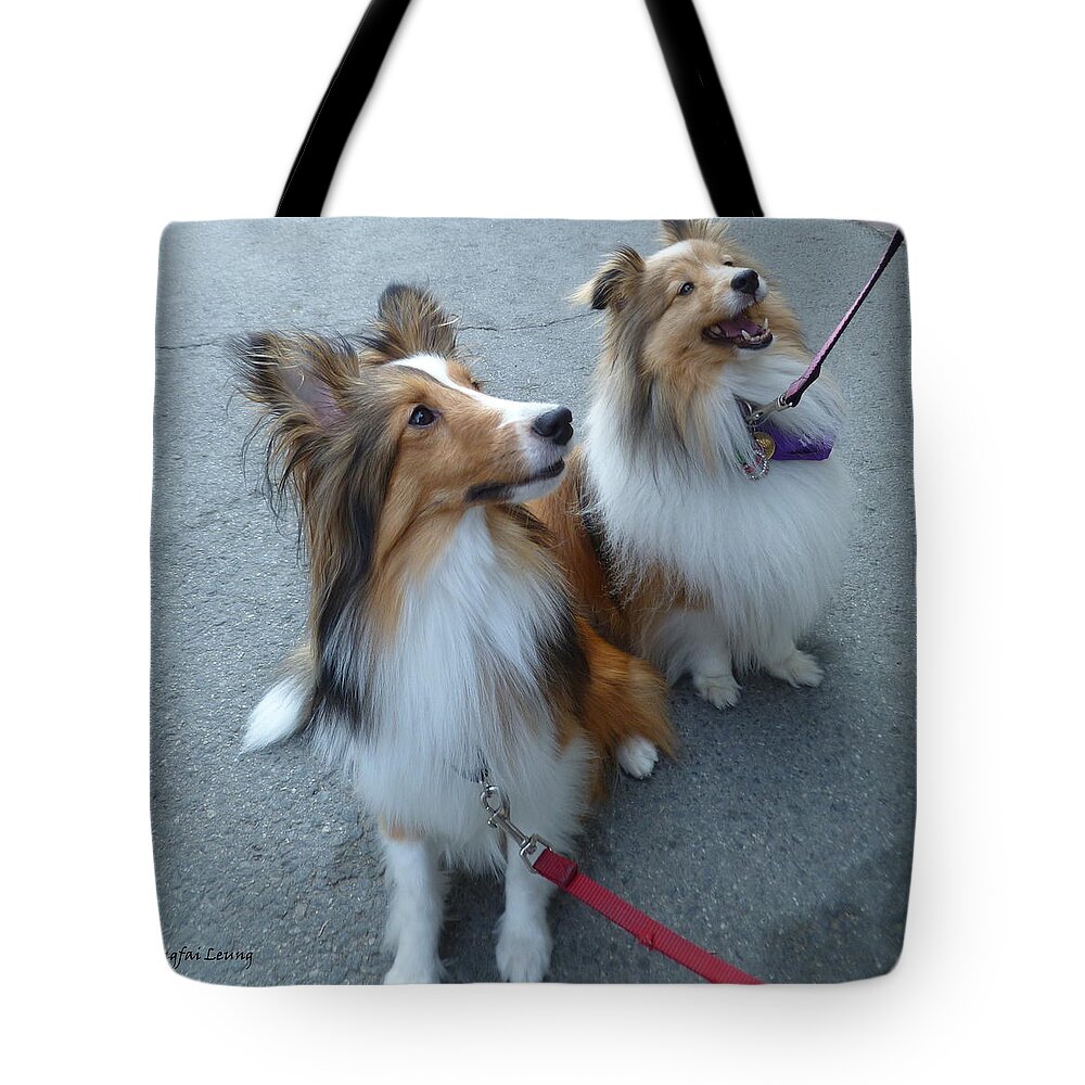 Pet Photography Tote Bag featuring the photograph Jenny and Precious by Lingfai Leung