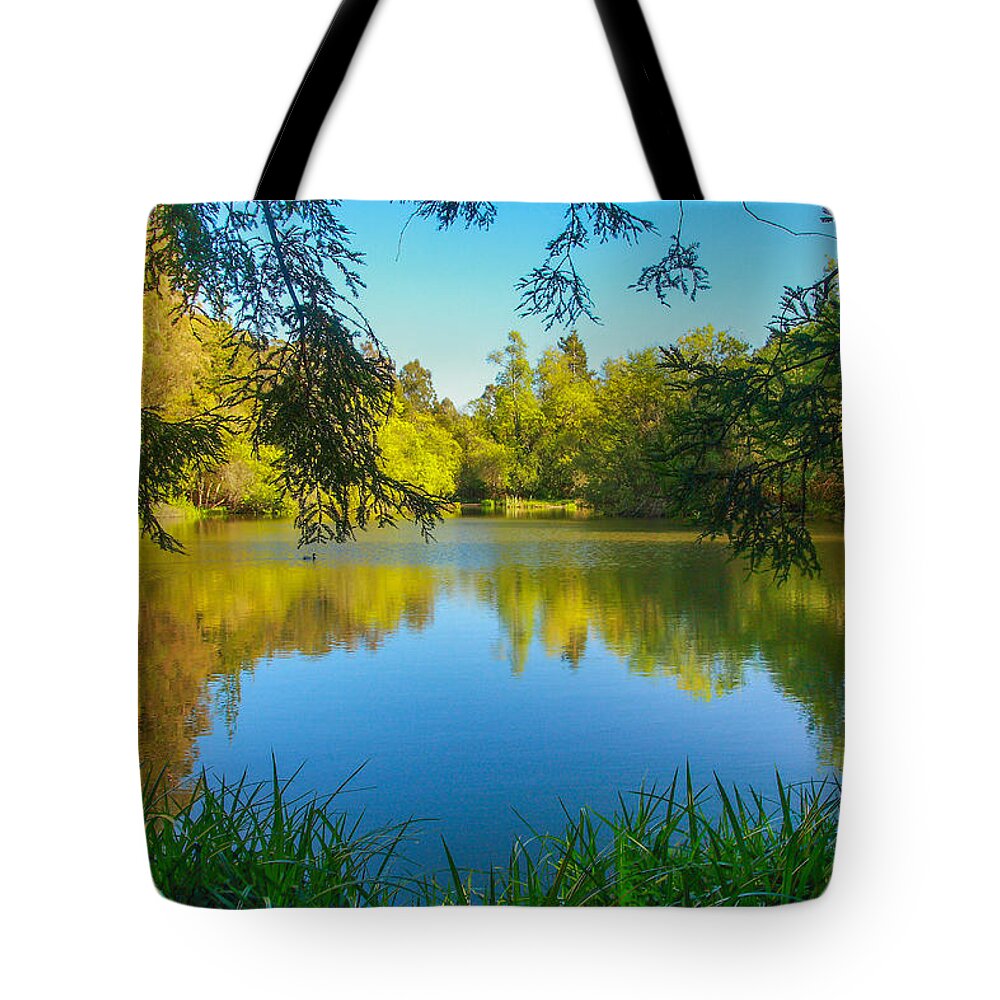 Landscape Tote Bag featuring the photograph Jewel Lake by Marc Crumpler