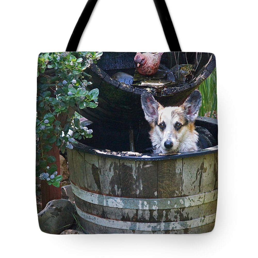 Johnny Tote Bag featuring the photograph Johnny in the Barrel by Mick Anderson