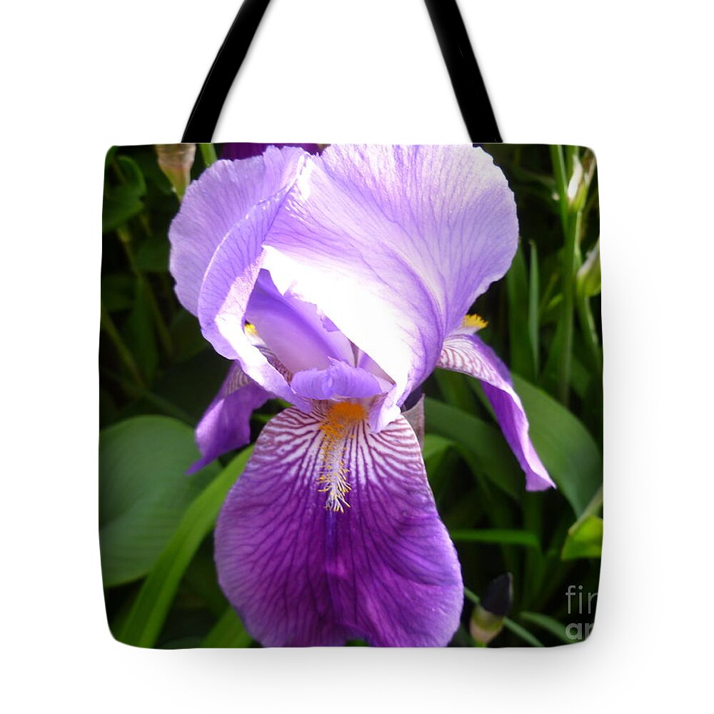 Flower Macro Tote Bag featuring the photograph Joy of Spring by Lingfai Leung