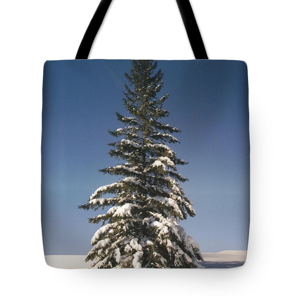 Judge Tote Bag featuring the photograph Judge's Christmas by R B Harper