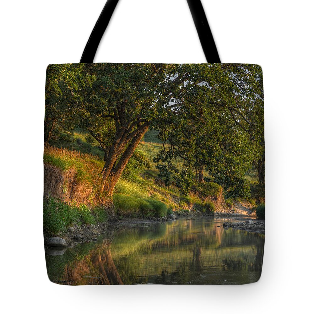 Landscape Tote Bag featuring the photograph July Morning along the Creek by Bruce Morrison