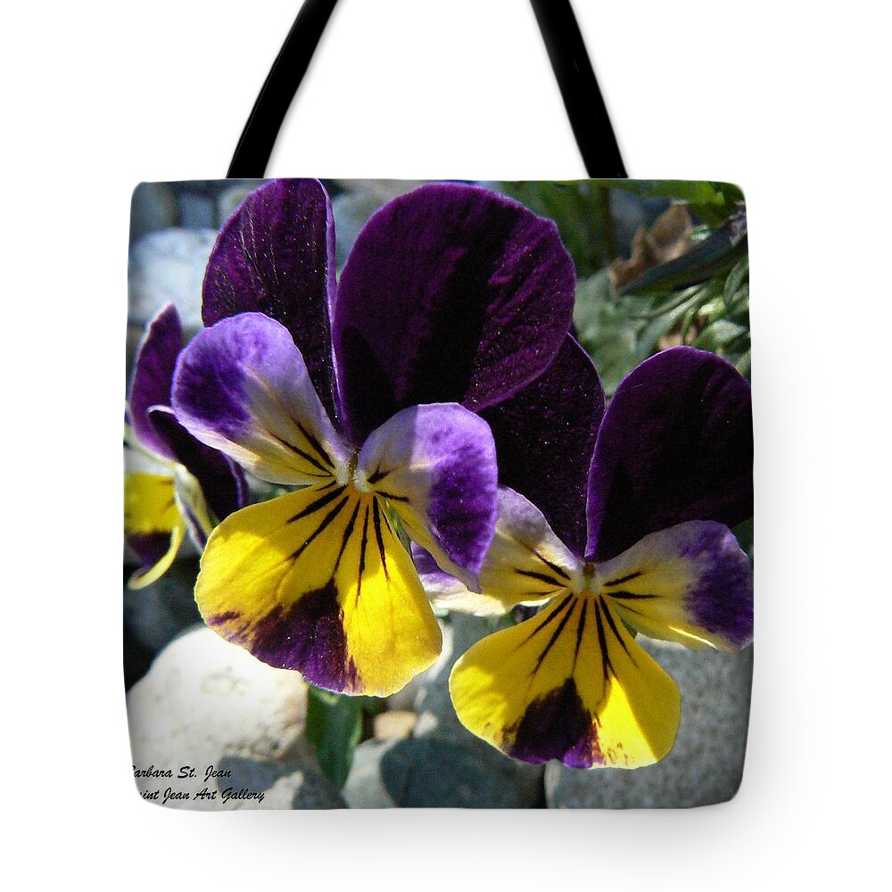 Pansy Tote Bag featuring the photograph Jump Up and Kiss Me by Barbara St Jean