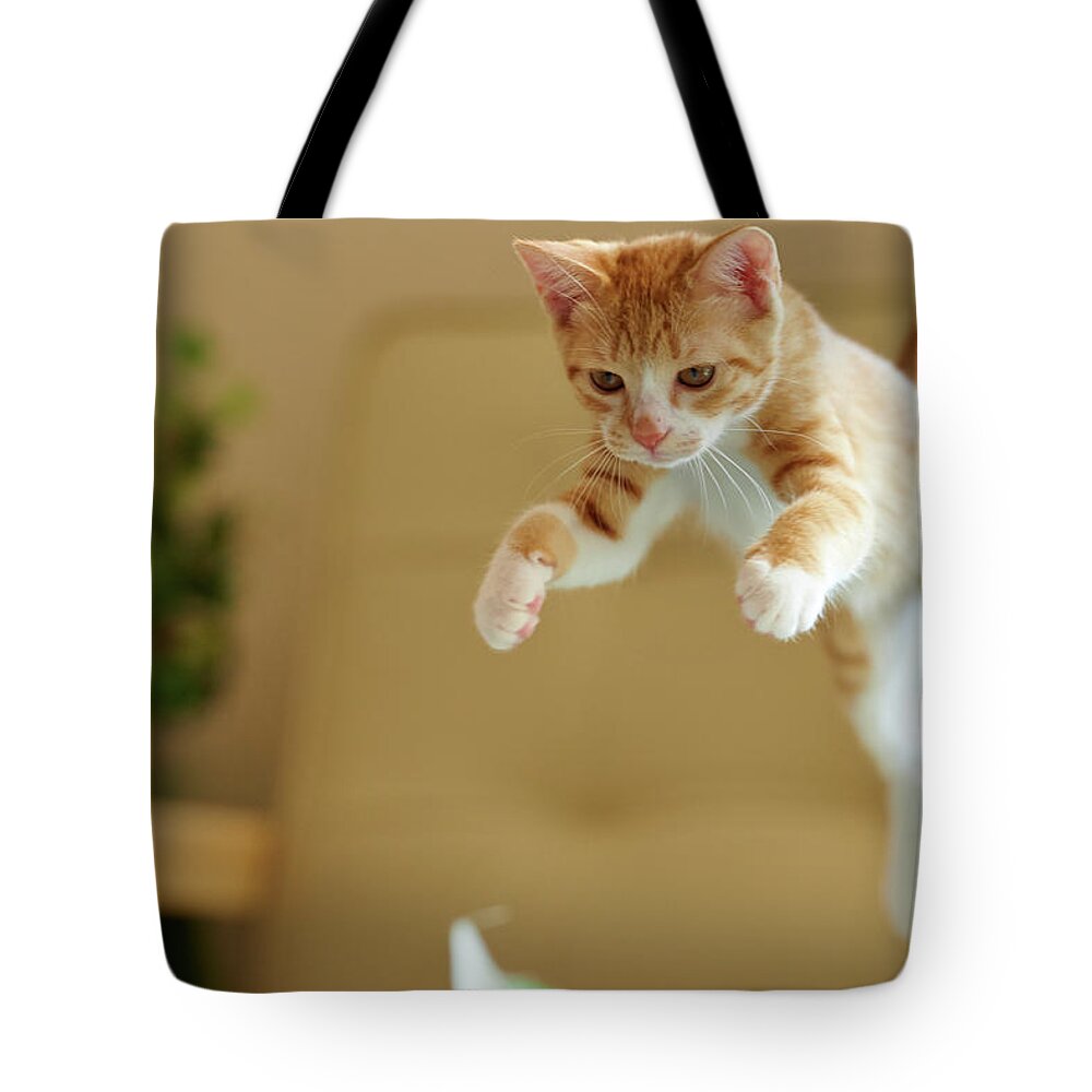 Pets Tote Bag featuring the photograph Jumping Ginger Kitten by Akimasa Harada