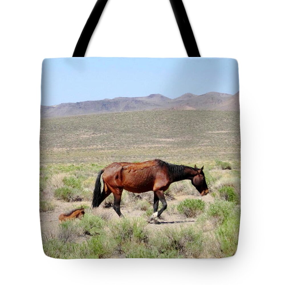 Mustang Tote Bag featuring the photograph Just Born by Marilyn Diaz