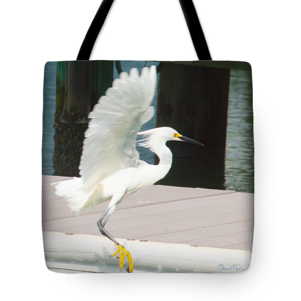 susan Molnar Tote Bag featuring the photograph Just Dropping In by Susan Molnar