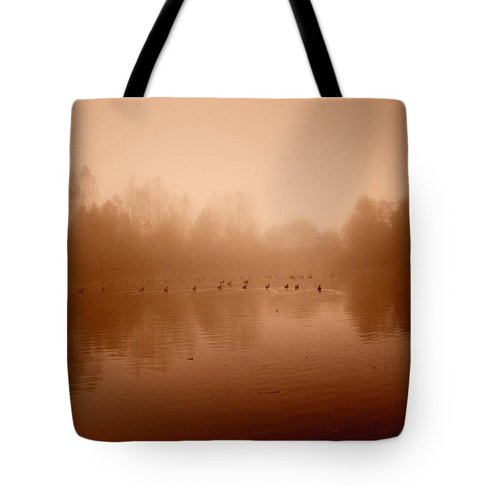 Geese Tote Bag featuring the photograph Just Fine Thanks by Monte Arnold