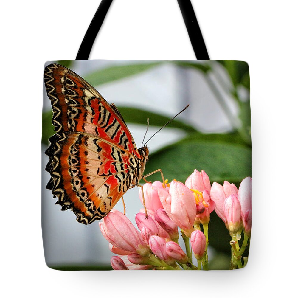 Butterfly Tote Bag featuring the photograph Just Pink Butterfly by Shari Nees