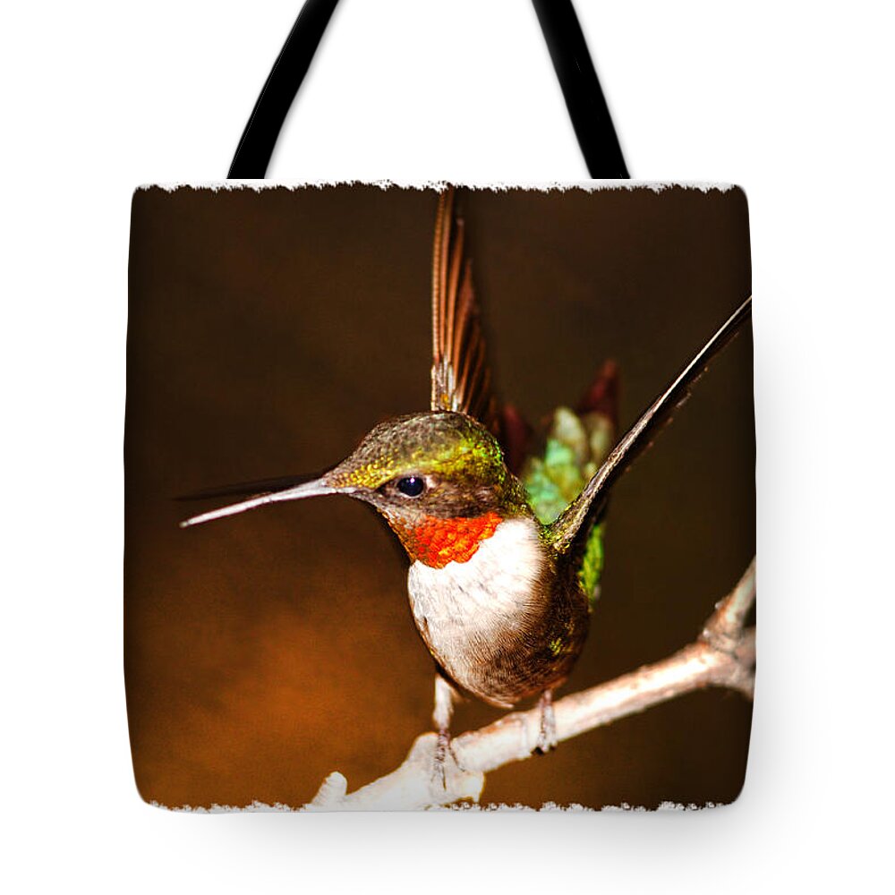 Hummer Tote Bag featuring the photograph Just Showing Off by Randall Branham