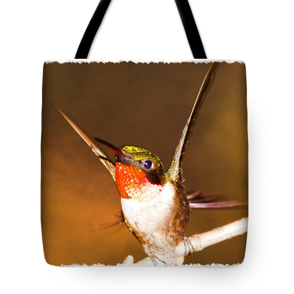 Just Stunning Tote Bag featuring the photograph Just Stunning by Randall Branham