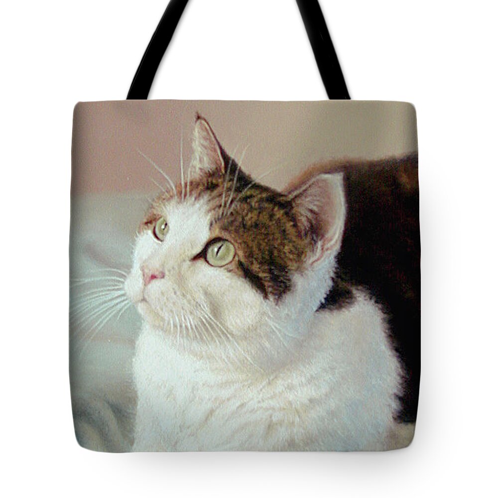 Pets Tote Bag featuring the painting K C kitty cat by Barbara Groff