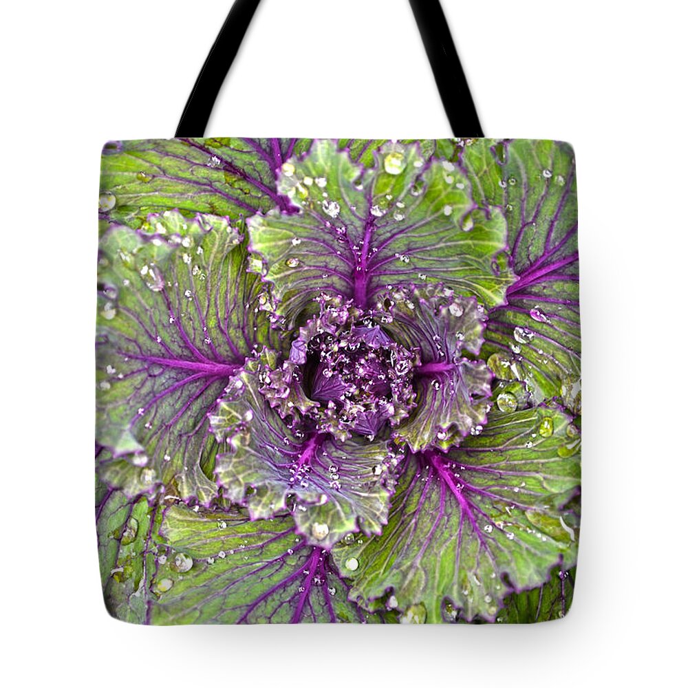 Kale Tote Bag featuring the photograph Kale Plant In The Rain by Sandi OReilly