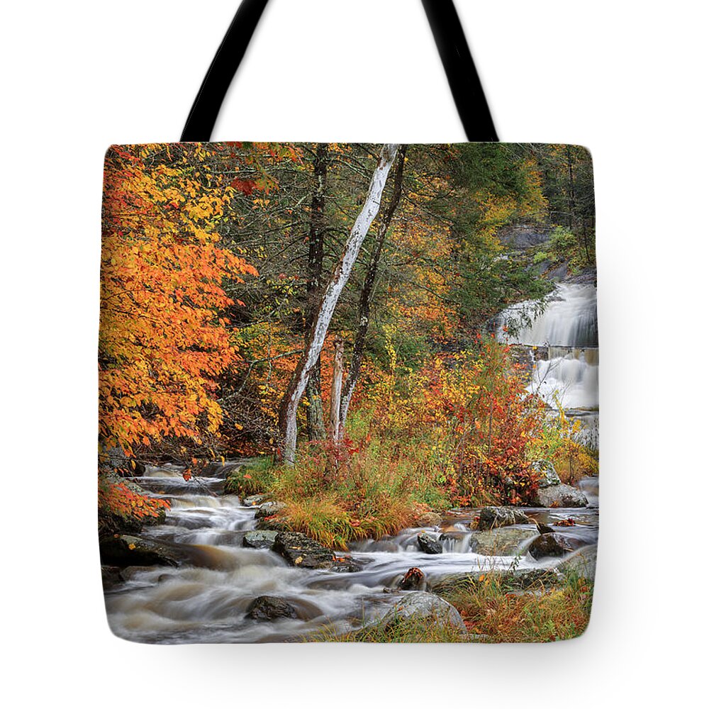 Kent Falls Tote Bag featuring the photograph Kent Falls State Park by Bill Wakeley