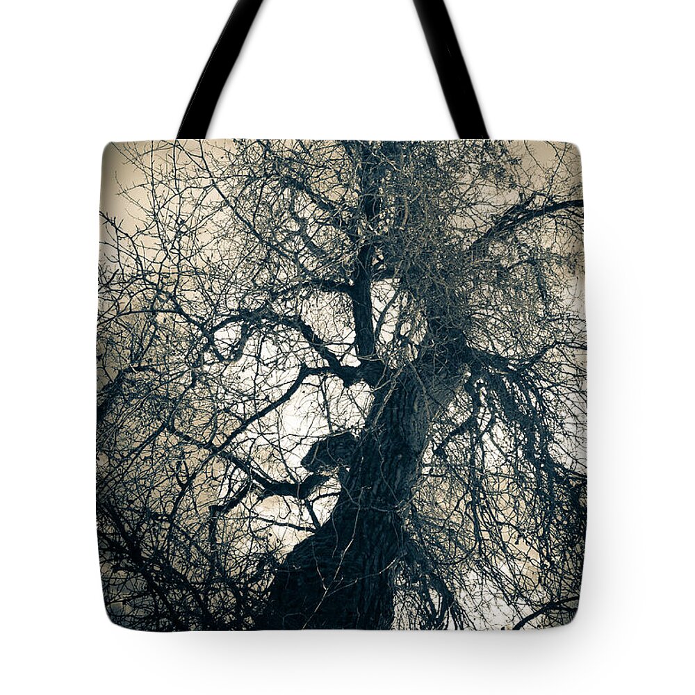 Ancient Tote Bag featuring the photograph Kept Secrets by Michele Cornelius