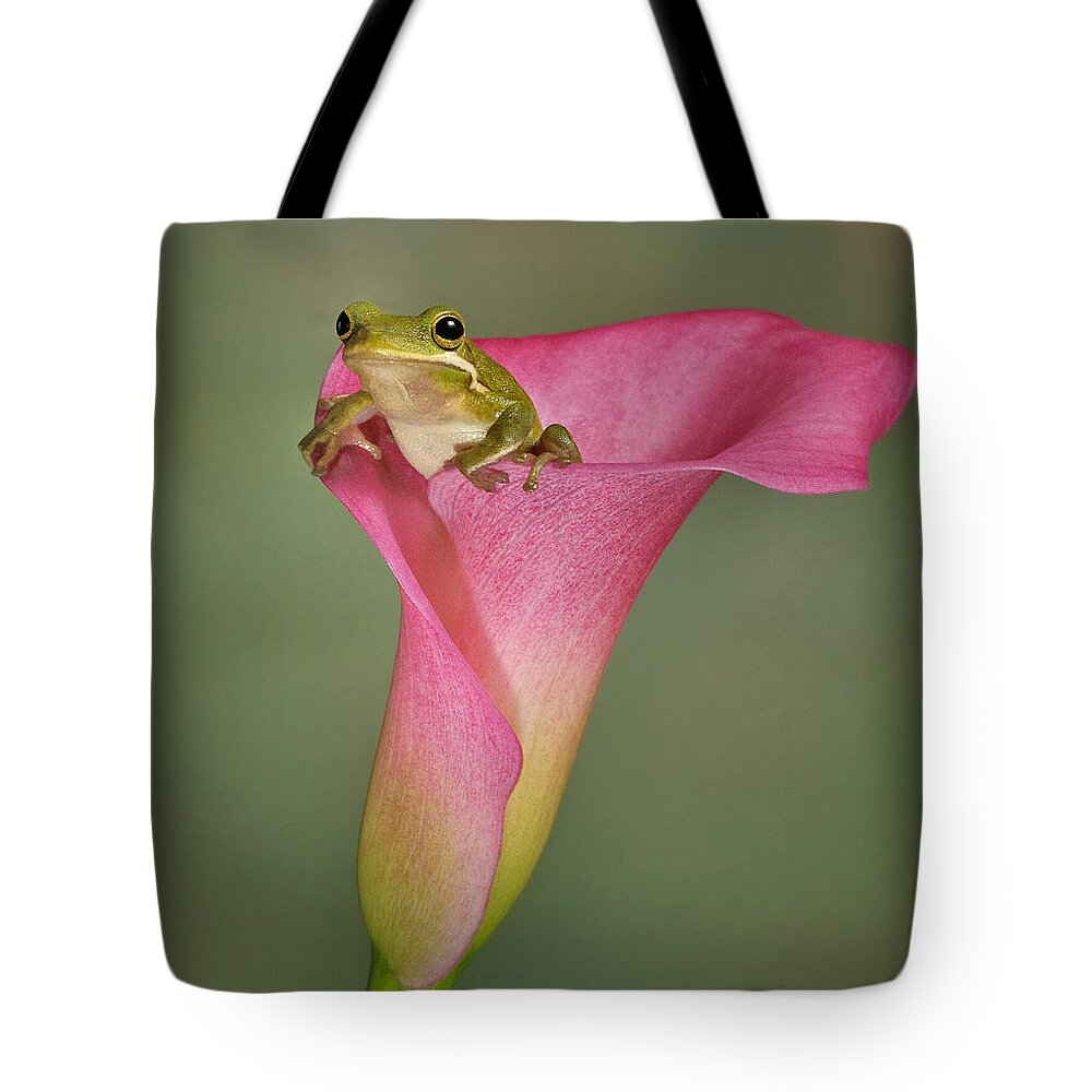 Calla Tote Bag featuring the photograph Kermit Peeking Out by Susan Candelario