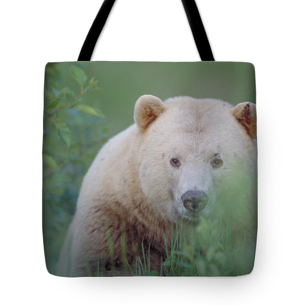 Vertical Tote Bag featuring the photograph Kermode Bear, Northern British by Art Wolfe