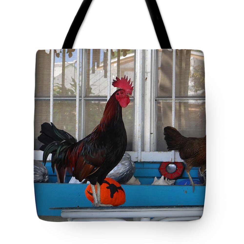 Key West Tote Bag featuring the photograph Key West Rooster by Keith Stokes