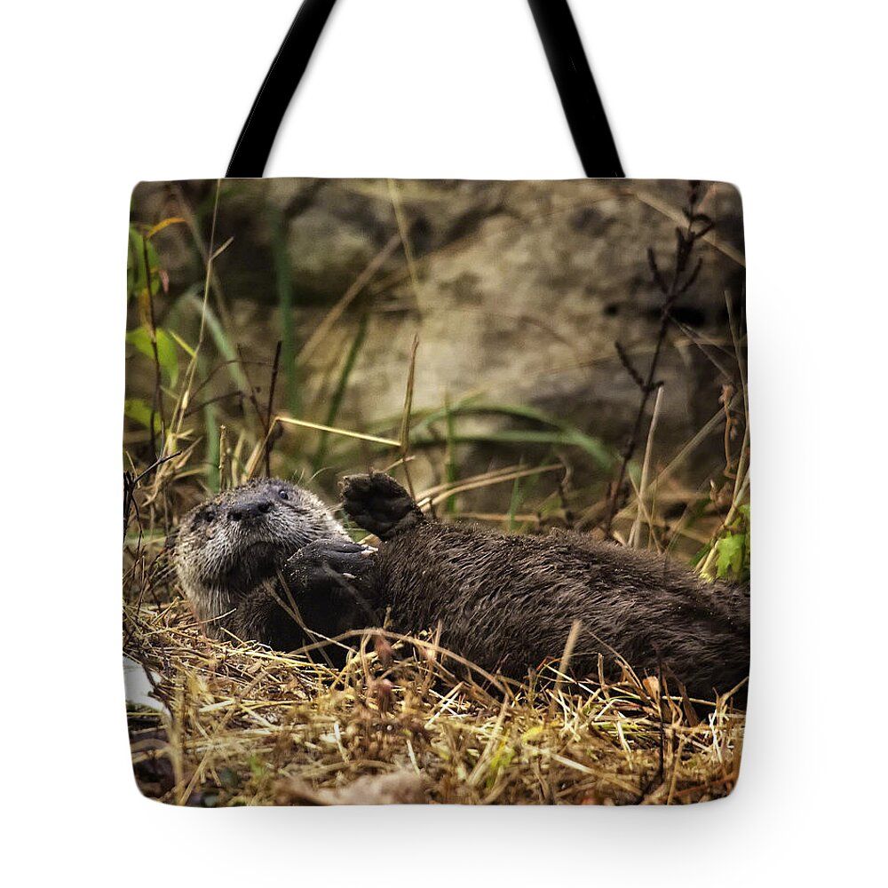 Otter Tote Bag featuring the photograph Kickin' Back by Michael Dougherty