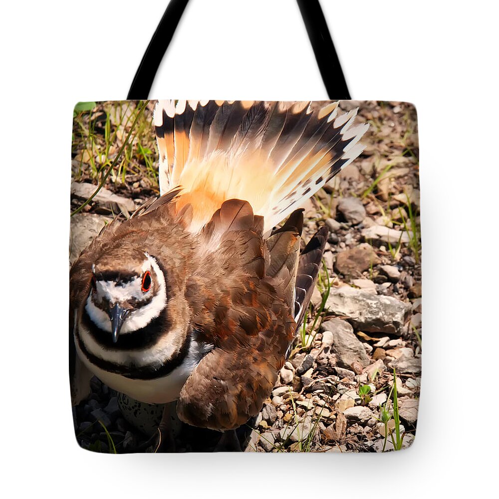 Bird Tote Bag featuring the photograph Killdeer on its nest by Flees Photos