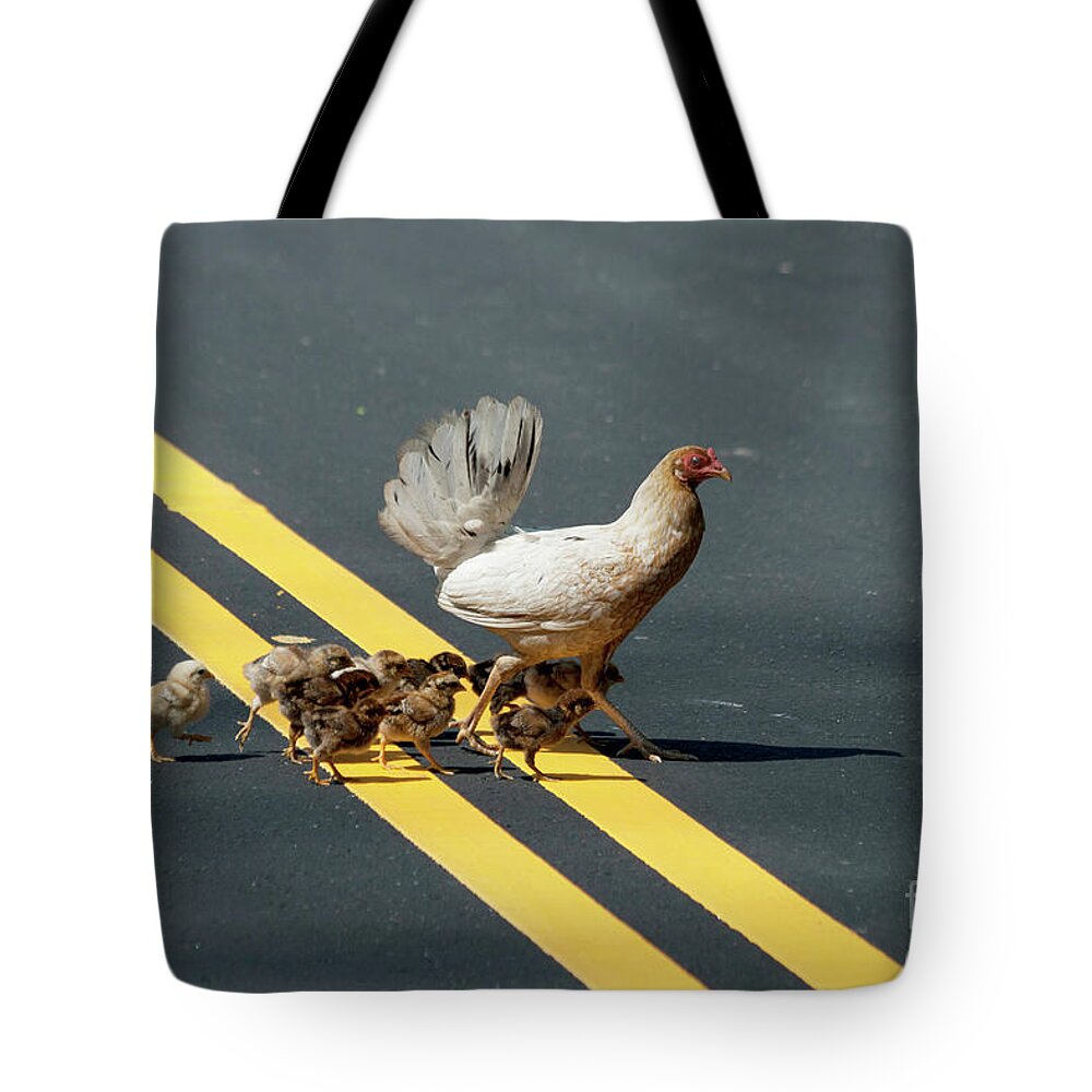 Chick Tote Bag featuring the photograph Kindergarten by Heiko Koehrer-Wagner