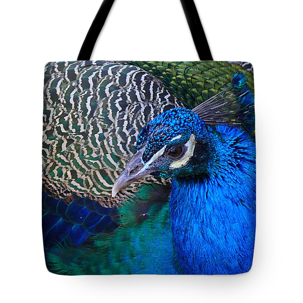 Peacock Tote Bag featuring the photograph King of Colors by Evelyn Tambour