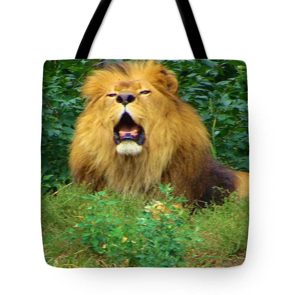Lion Tote Bag featuring the photograph King of The Beast by Anthony Seeker