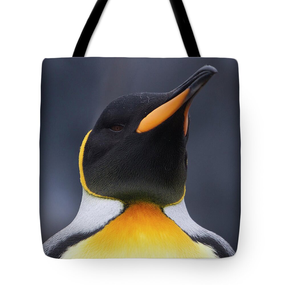 Black Color Tote Bag featuring the photograph King Penguin Portrait by Richard Mcmanus