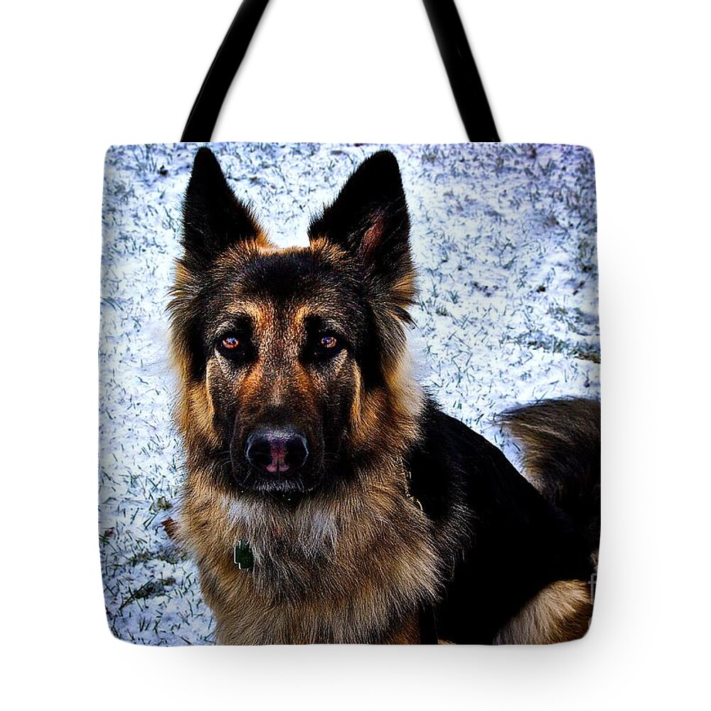 King Tote Bag featuring the photograph King Shepherd Dog by Frank J Casella