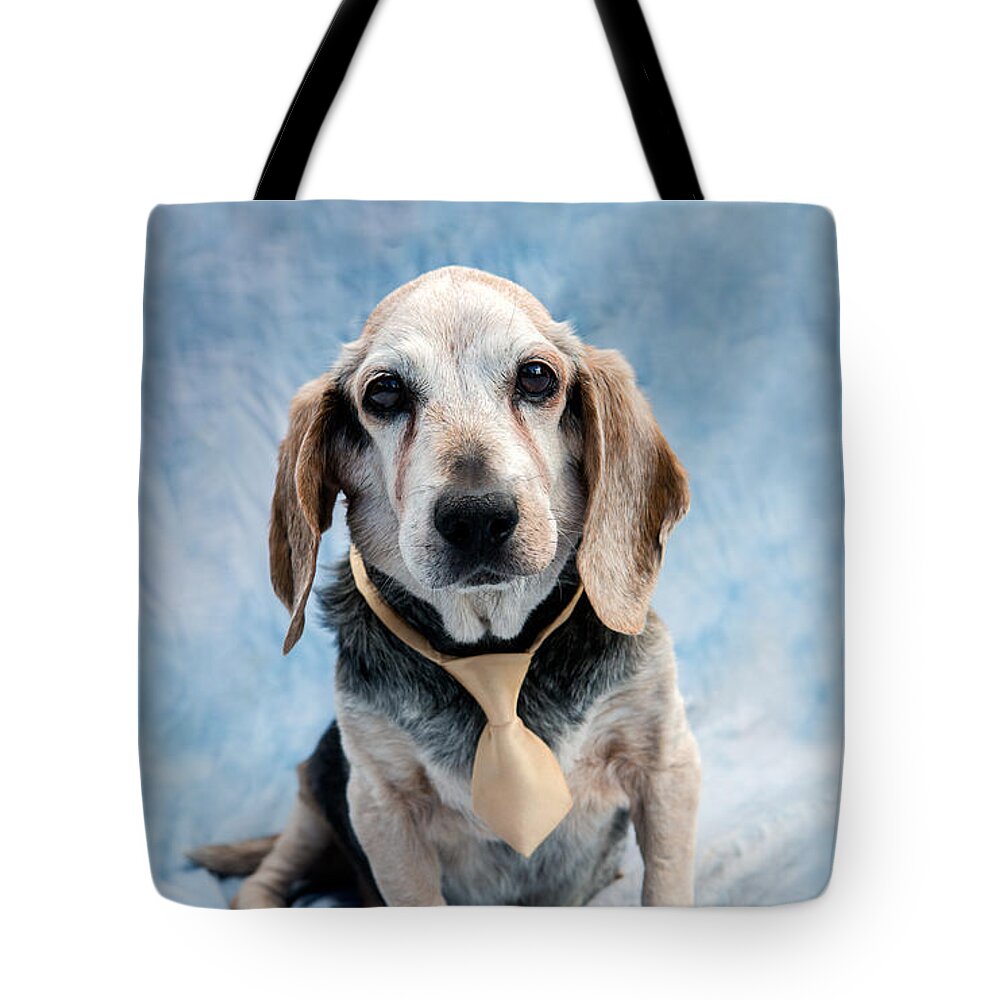 Beagel Tote Bag featuring the photograph Kippy Beagle Senior and Best Dog Ever by Iris Richardson