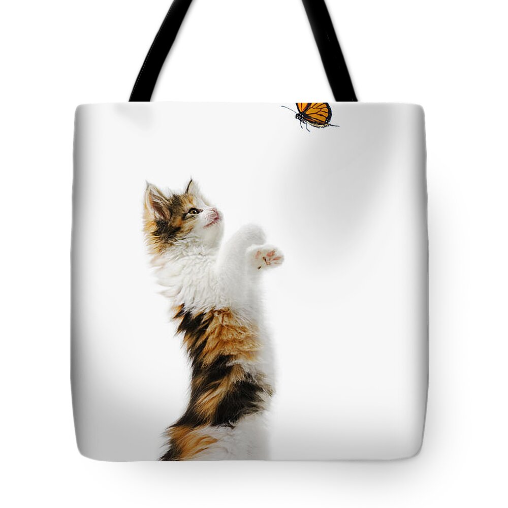 Active Tote Bag featuring the photograph Kitten and Monarch Butterfly by Wave Royalty Free