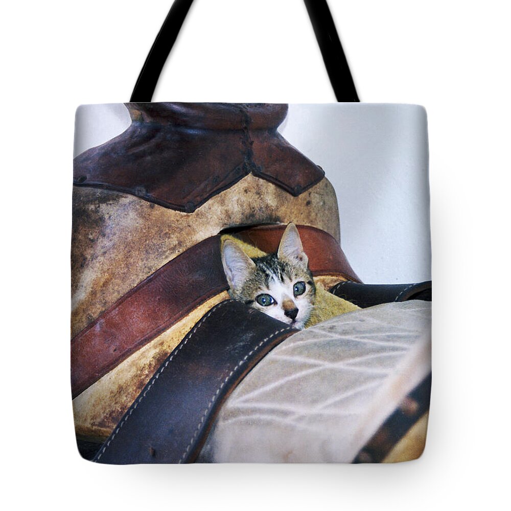 Cat Tote Bag featuring the photograph Kitty in the Saddle by Kae Cheatham