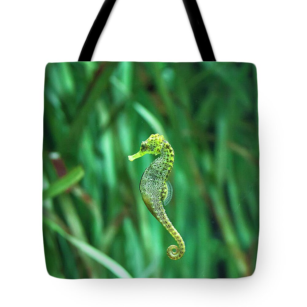 Underwater Tote Bag featuring the photograph Knysna Seahorse by Luismix