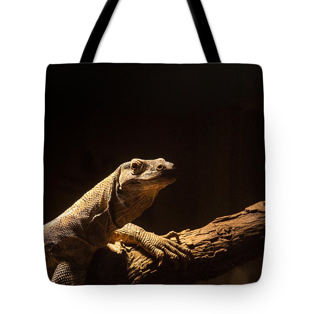 Komodo Tote Bag featuring the photograph Komodo Dragon Poising by Douglas Barnett