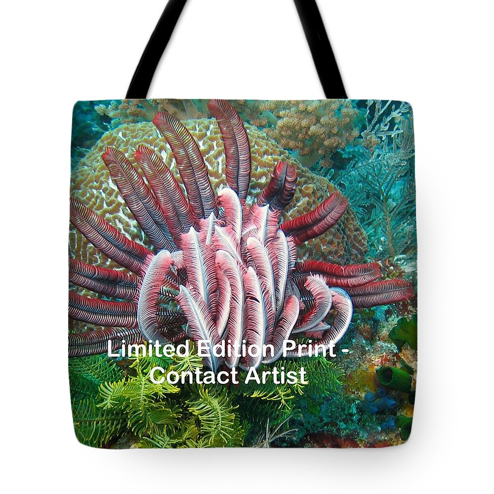 Indonesia Tote Bag featuring the photograph Komodo Island 6 by David Beebe
