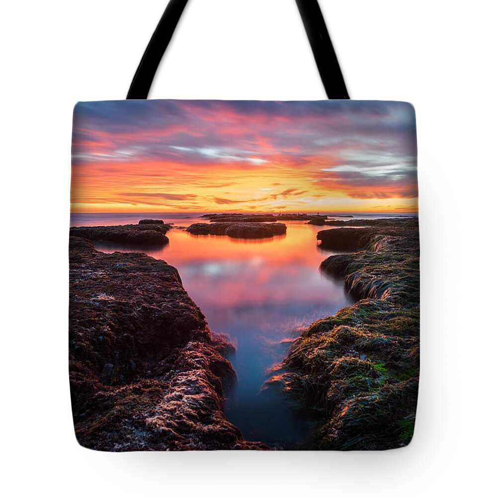 La Jolla Tote Bag featuring the photograph La Jolla California Reflections by Larry Marshall