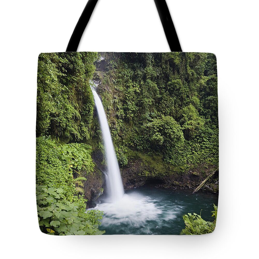 00198538 Tote Bag featuring the photograph La Paz Waterfall Costa Rica by Konrad Wothe