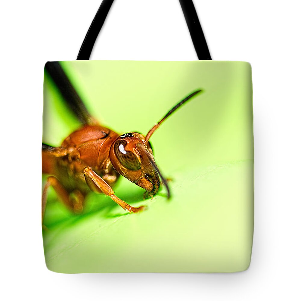 Paper Wasp Tote Bags