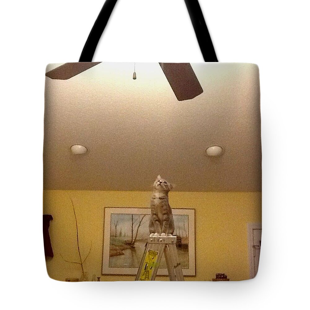 Cat Tote Bag featuring the photograph Ladder Cat by Stacy C Bottoms
