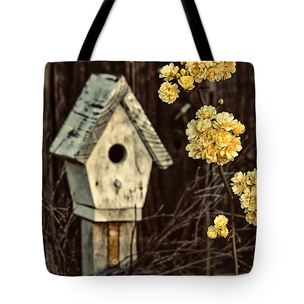 Garden Art Tote Bag featuring the photograph Lady Banks Roses by Caitlyn Grasso