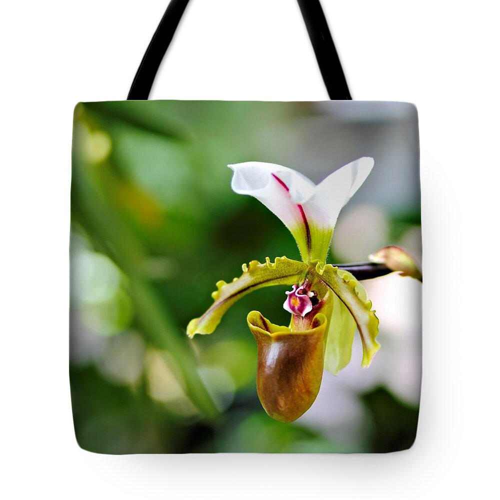Lady Slipper Tote Bag featuring the photograph Lady Slipper by Katherine White