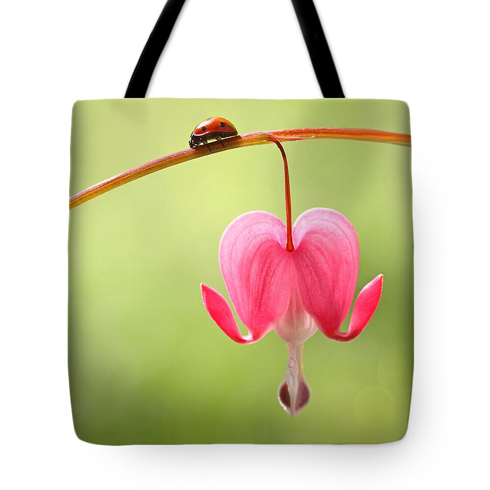 Ladybugs Tote Bag featuring the photograph Ladybug and Bleeding Heart Flower by Peggy Collins