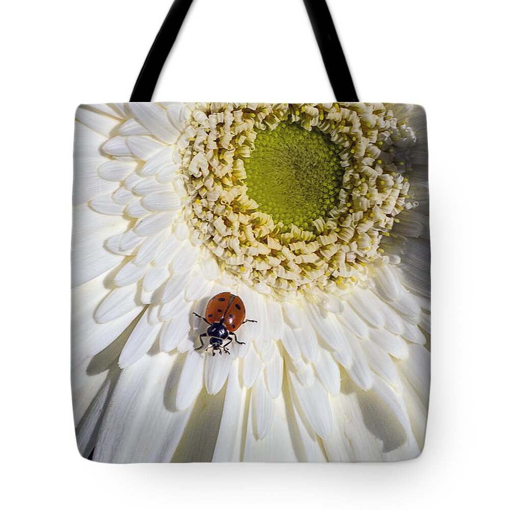 Ladybugs Bug Tote Bag featuring the photograph Ladybug by Garry Gay