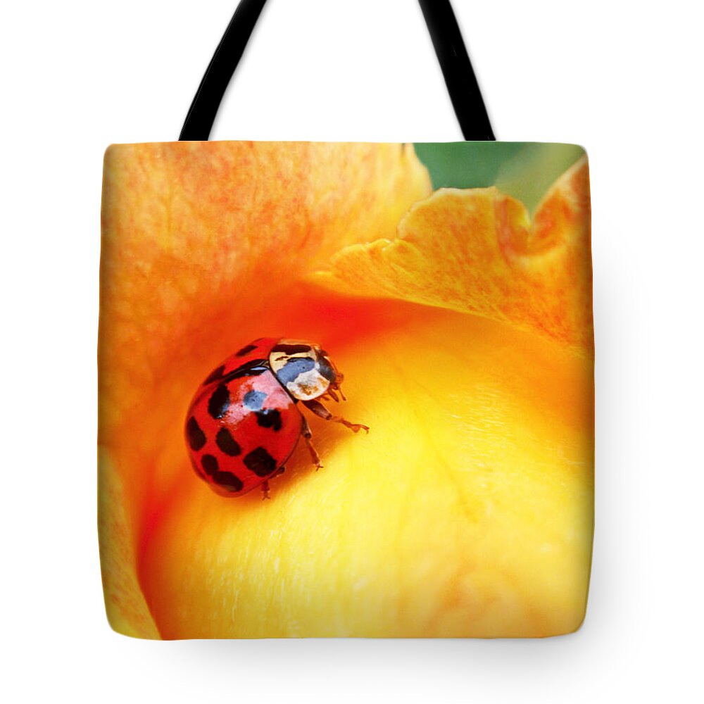 Ladybug Tote Bag featuring the photograph Ladybug by Rona Black