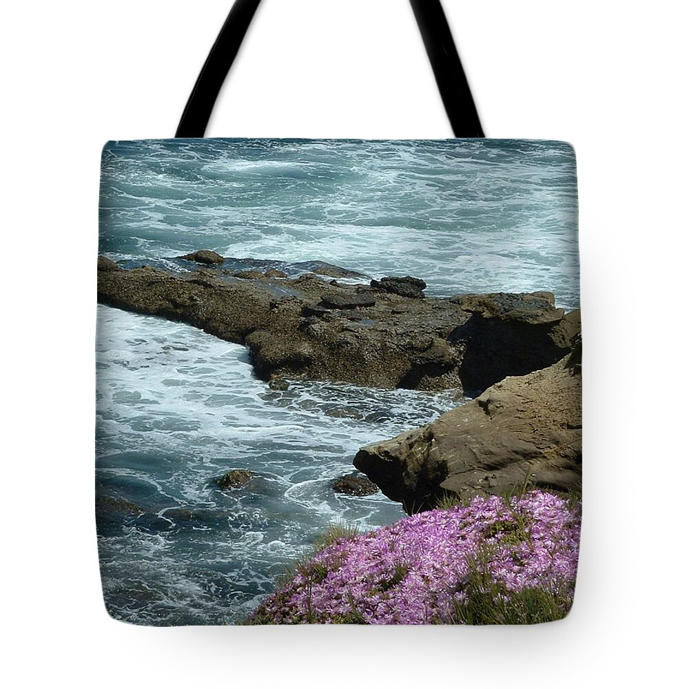 Beach Tote Bag featuring the photograph LaJolla shore by Joan Gal-Peck