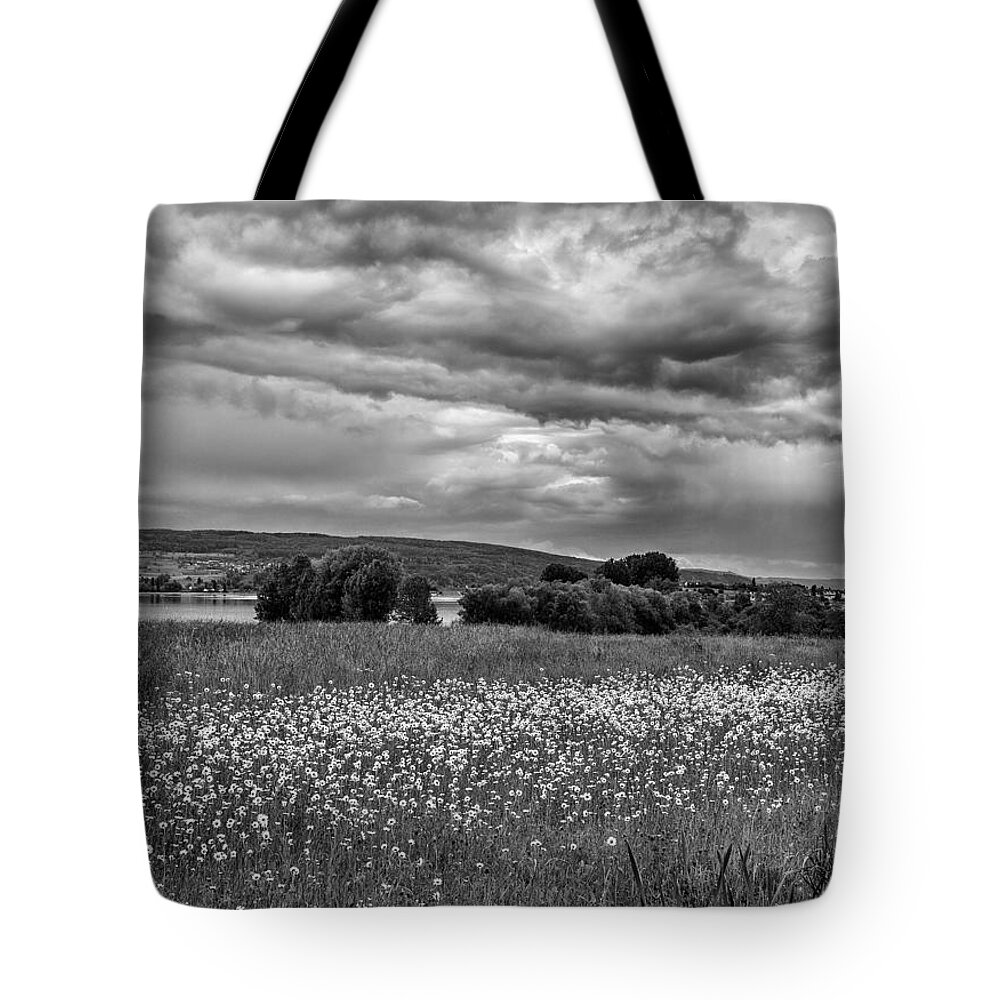 Landscape Tote Bag featuring the photograph Stormy weather by Bernd Laeschke