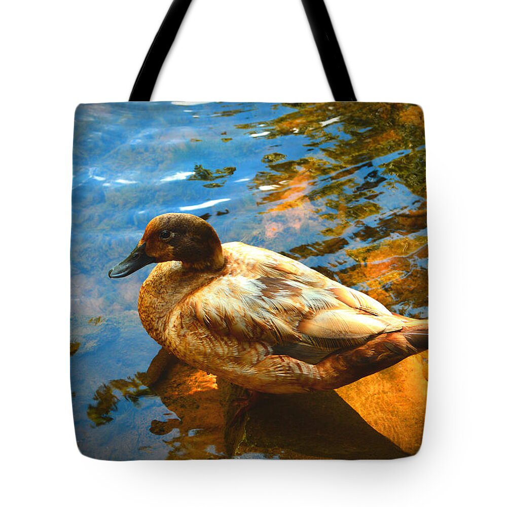 Lake Ducks Tote Bag featuring the photograph Lake Duck Vignette by Stacie Siemsen