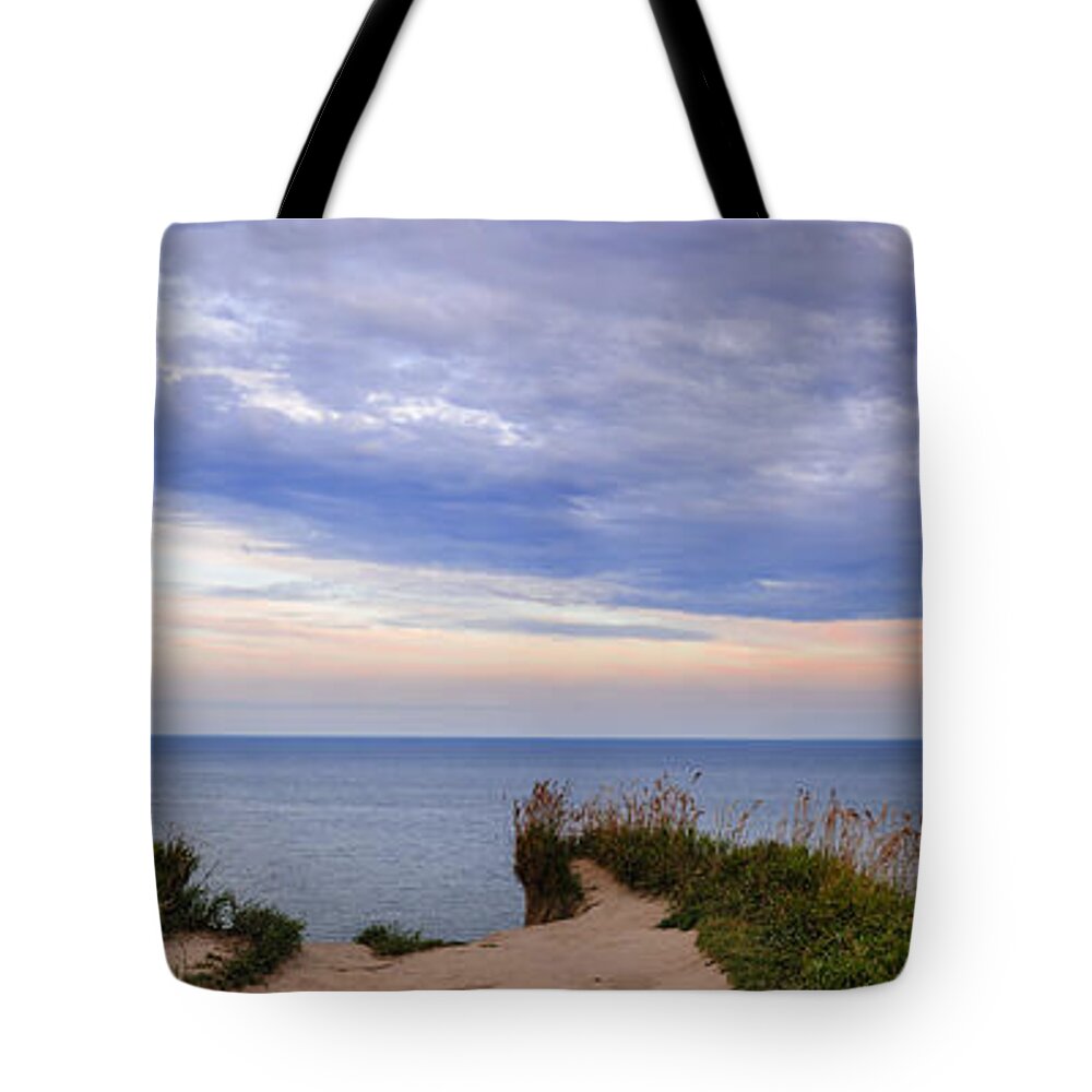 Landscape Tote Bag featuring the photograph Lake Ontario at Scarborough Bluffs by Elena Elisseeva